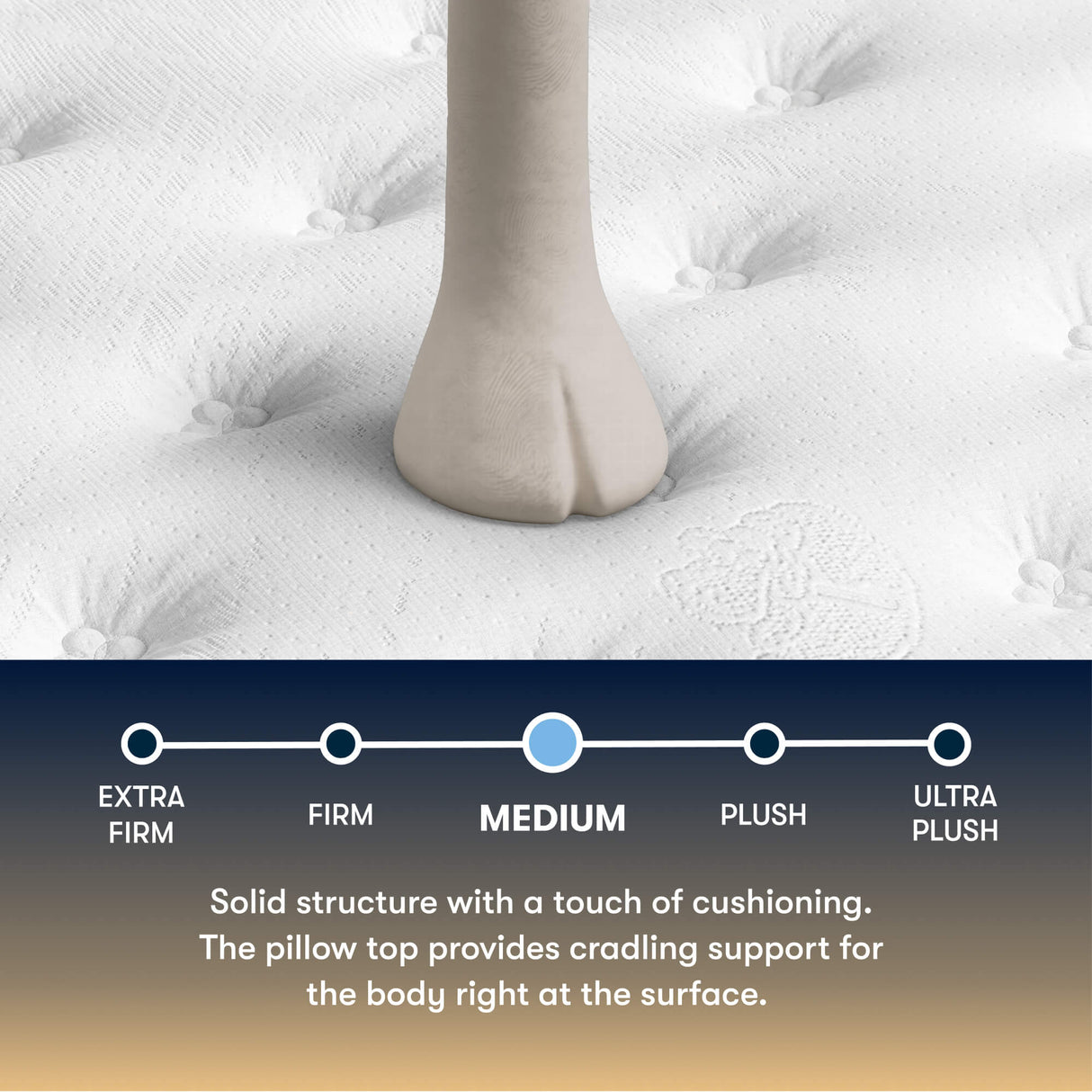 Cascade Canyon Med PT 26 Perfect Sleeper 500313943