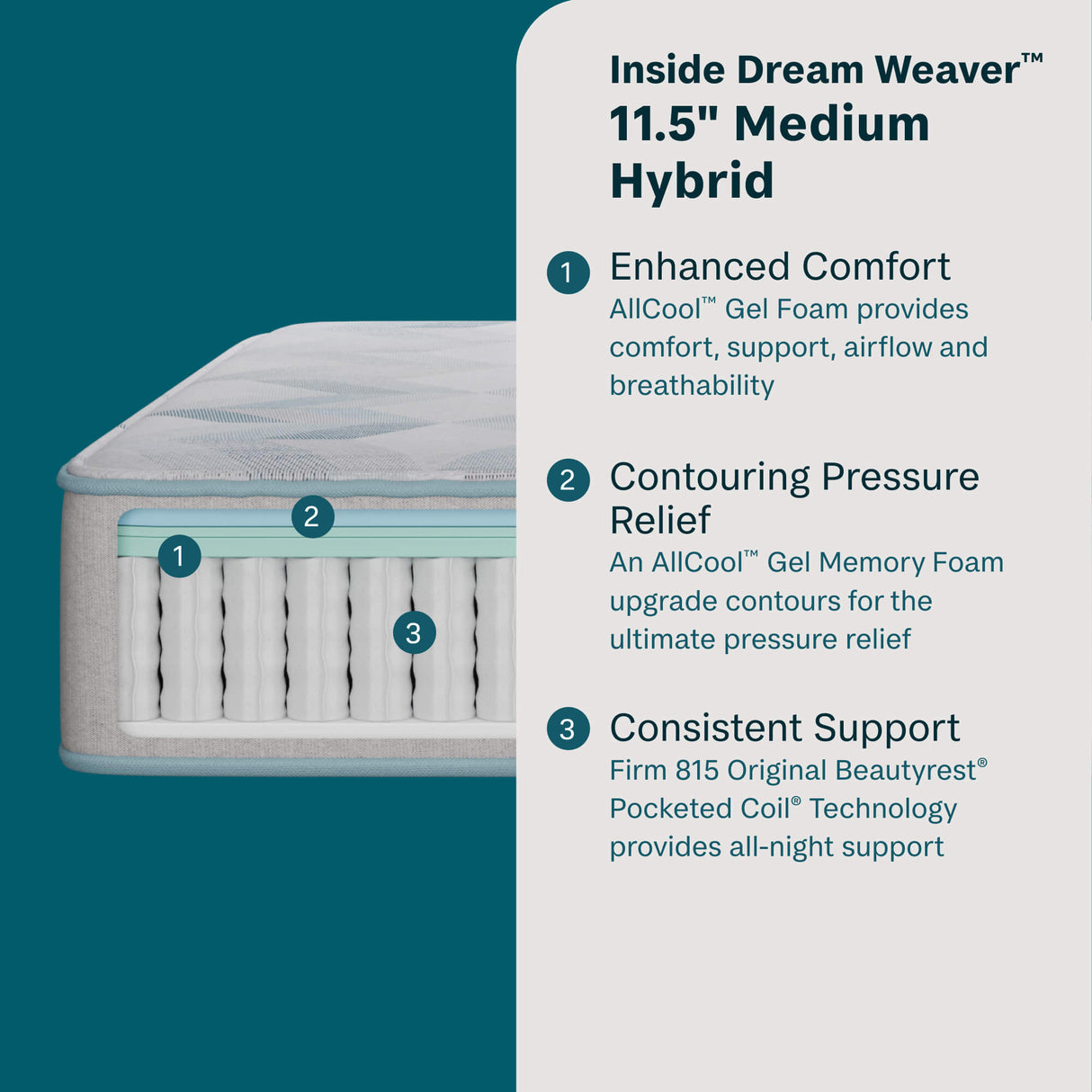 BS 24 Dream Weaver Hybrid Medium 700812186
