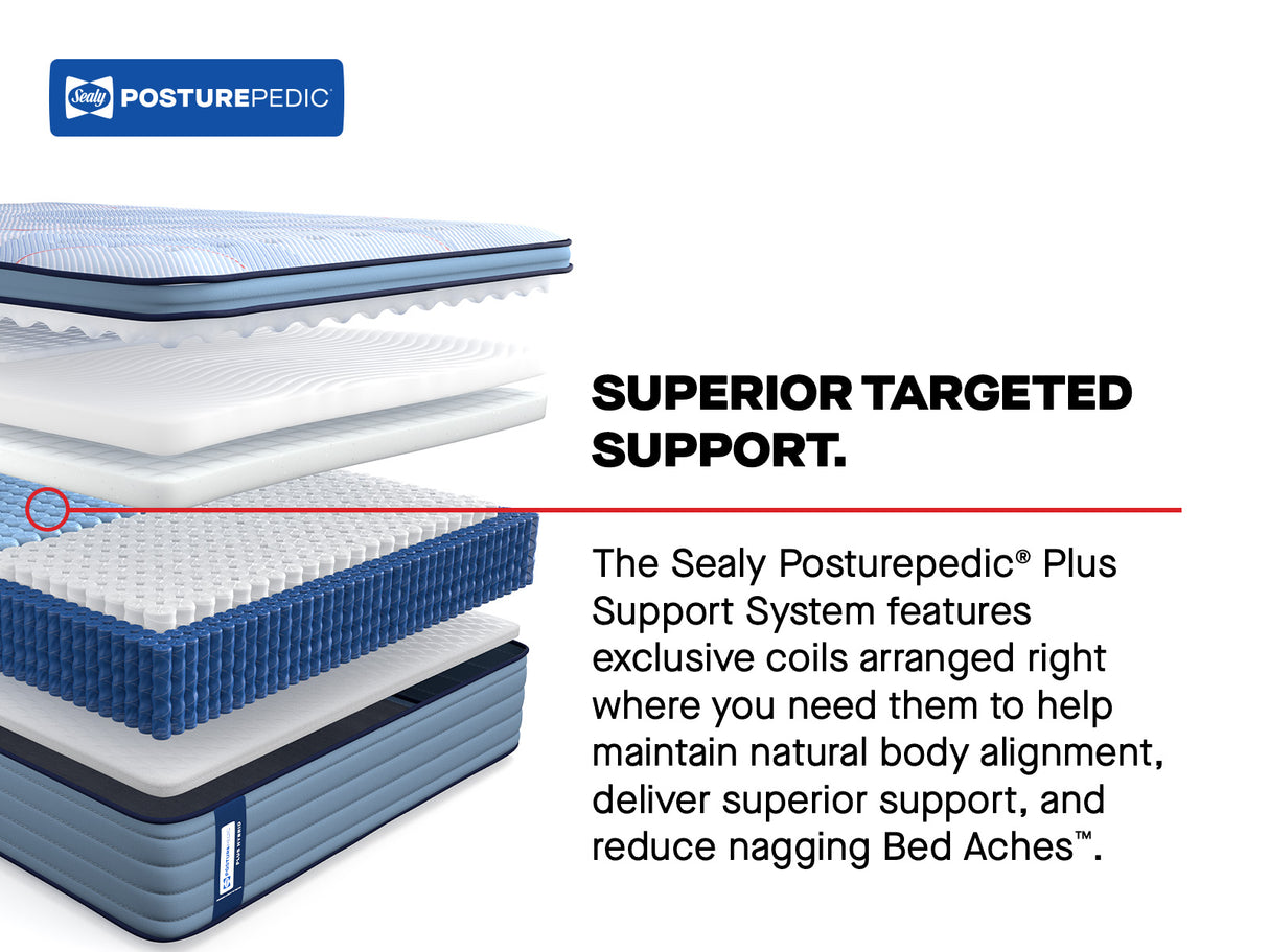 Plainfield Spring Firm EPT PLS3 532231