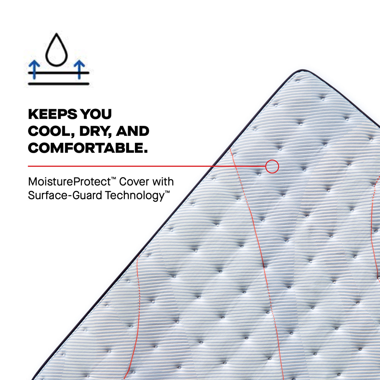 Orlando Spring Soft EPT PPS3 532227