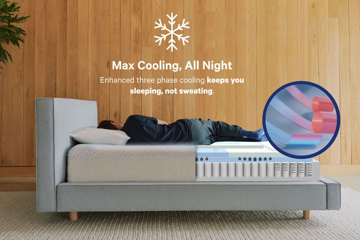 Snow Max