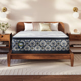 Cascade Canyon Med PT 26 Perfect Sleeper 500313943
