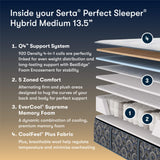 Cascade Bluff Medium Hybrid TT 26 Perfect Sleeper 500112081
