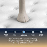 Cascade Canyon Med PT 26 Perfect Sleeper 500313943