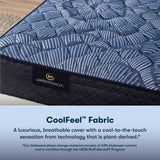 Cobalt Calm Extra Firm TT 500104181