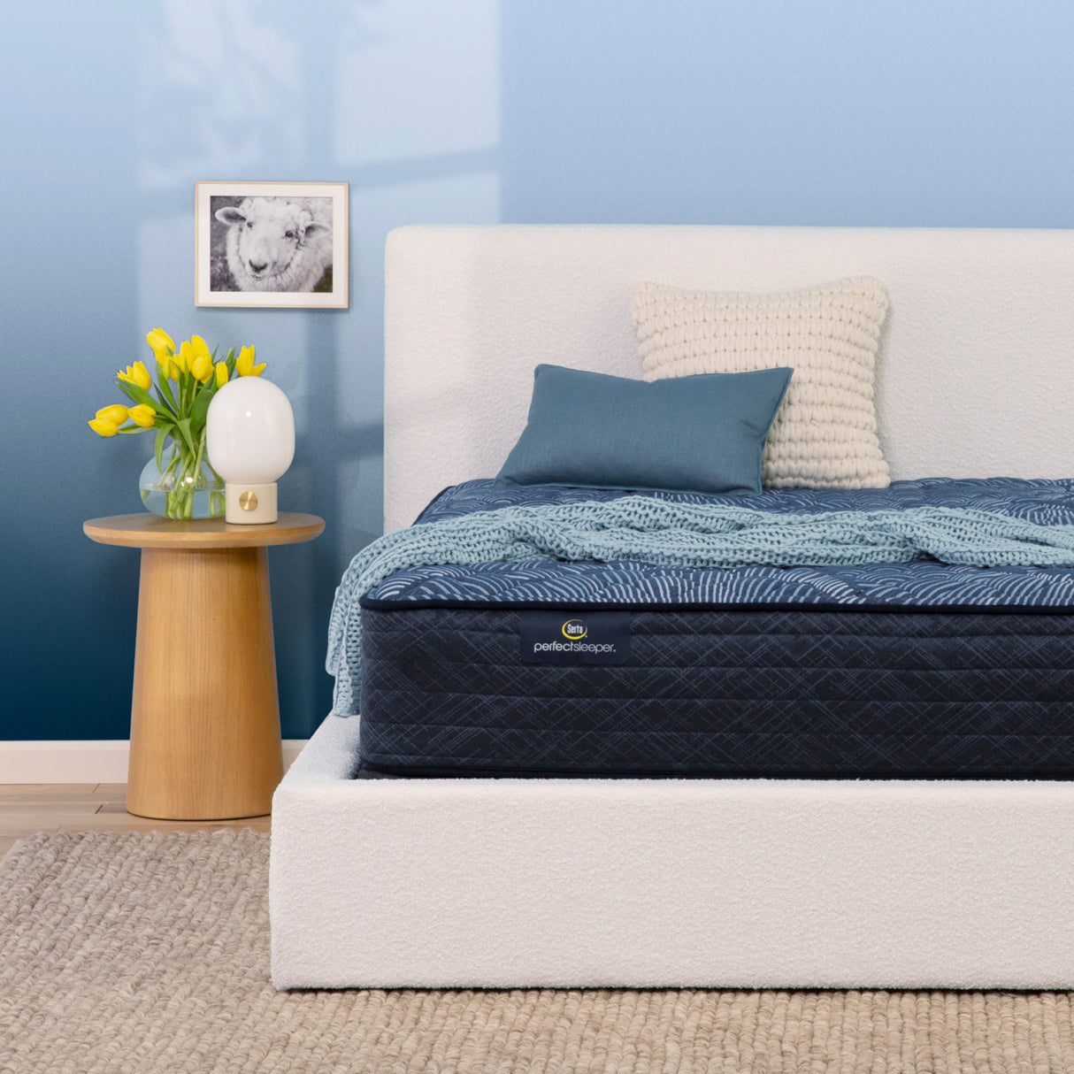 Cobalt Calm Extra Firm TT 500104181