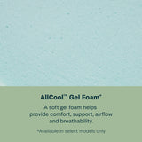 BS 24 Dream Weaver Hybrid Plush 700812187