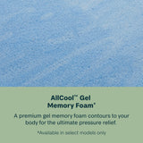 BS 24 Dream Weaver Hybrid Plush 700812187