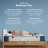 Ambrose Firm Mattress Only 500800561