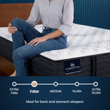 Ambrose Firm Mattress Only 500800561