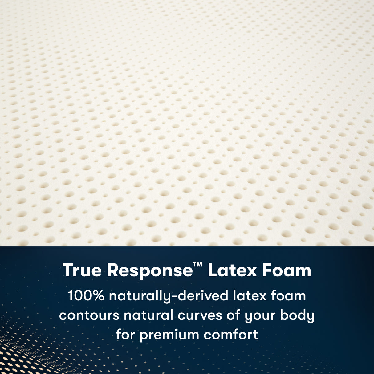 Ambrose Firm Mattress Only 500800561