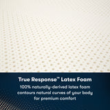 Ambrose Firm Mattress Only 500800561