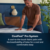 Ambrose Firm Mattress Only 500800561